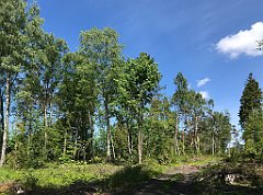 277_iP_210530_IMG_2479