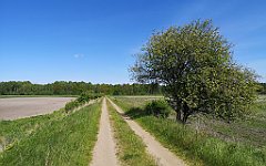 345_p20_IMG_20210530_142209