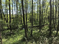 375_iP_210530_IMG_2492