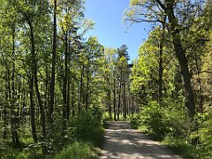 376_iP_210530_IMG_2493