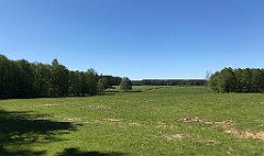 392_iP_210530_IMG_2502