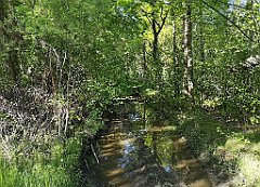 445_p20_IMG_20210530_172040