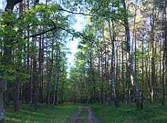 509_iP_210530_IMG_2560