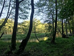 510_iP_210530_IMG_2562