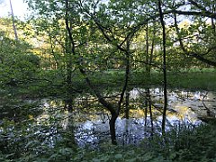 512_iP_210530_IMG_2566