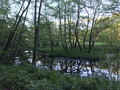 516_iP_210530_IMG_2573