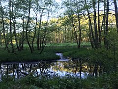 518_iP_210530_IMG_2577