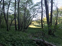 521_iP_210530_IMG_2583
