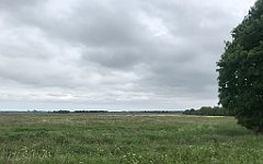 081_iP_210615_IMG_2632