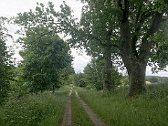 108_iP_210615_IMG_2640