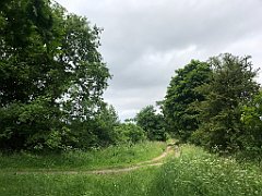 119_iP_210615_IMG_2648