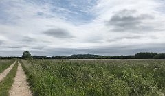 143_iP_210615_IMG_2671