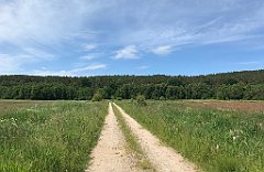 146_iP_210615_IMG_2675