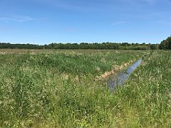 168_iP_210615_IMG_2687