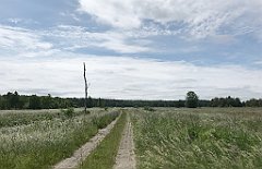 169_iP_210615_IMG_2688