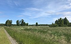 173_iP_210615_IMG_2692