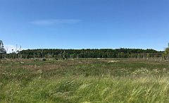 262_iP_210615_IMG_2704