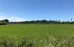 280_iP_210615_IMG_2709