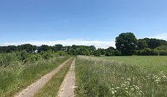 286_iP_210615_IMG_2714