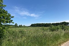 288_iP_210615_IMG_2716