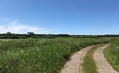 322_iP_210615_IMG_2734