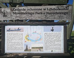 423_p20_IMG_20210615_155603