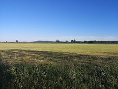 553_p20_IMG_20210615_184719