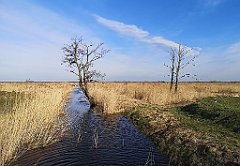 210_p20_IMG_20220213_114920