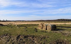 237_p20_IMG_20220213_121613