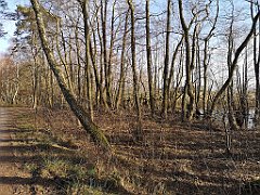 342_p20_IMG_20220213_134840