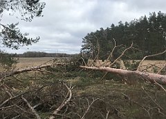 223_iP_220226_IMG_4068