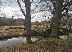 263_p20_IMG_20220226_124428