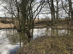 271_iP_220226_IMG_4082