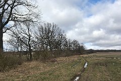 289_iP_220226_IMG_4088