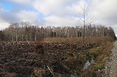 354_p20_IMG_20220226_143230