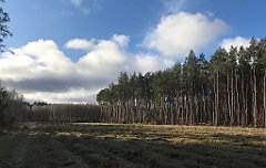 385_iP_220226_IMG_4111