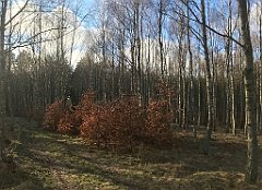 388_iP_220226_IMG_4114