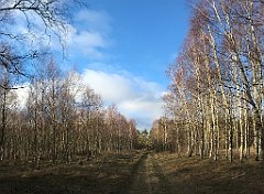 393_iP_220226_IMG_4120