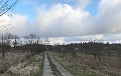 410_iP_220226_IMG_4127