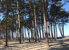 059_iP_220301_IMG_4206