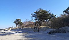 154_p20_IMG_20220301_110518