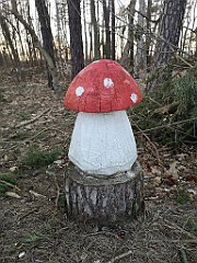 540_p20_IMG_20220301_165703