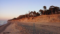 556_p20_IMG_20220301_171015