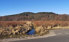 016_p20_IMG_20220313_083301