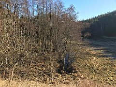 024_iP_220313_IMG_4512