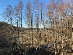 025_iP_220313_IMG_4509