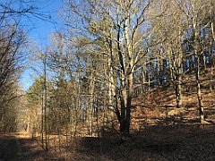 034_iP_220313_IMG_4516