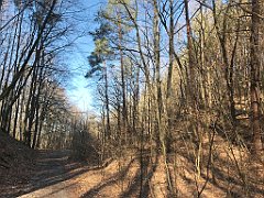 038_iP_220313_IMG_4518