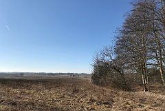 061_iP_220313_IMG_4533