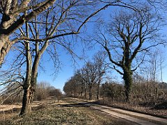 105_iP_220313_IMG_4555